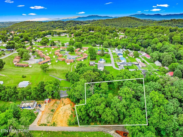 278 Harvest St, Newport, TN 37821