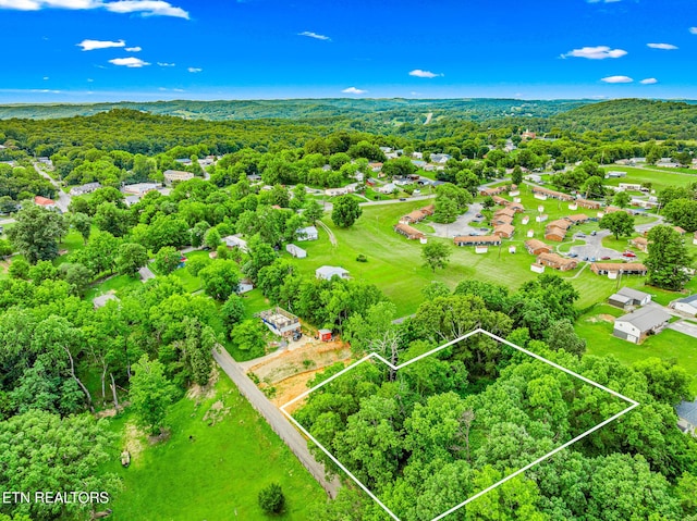 278 Harvest St, Newport, TN 37821