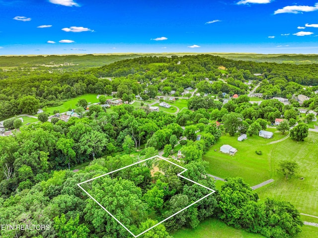 278 Harvest St, Newport, TN 37821