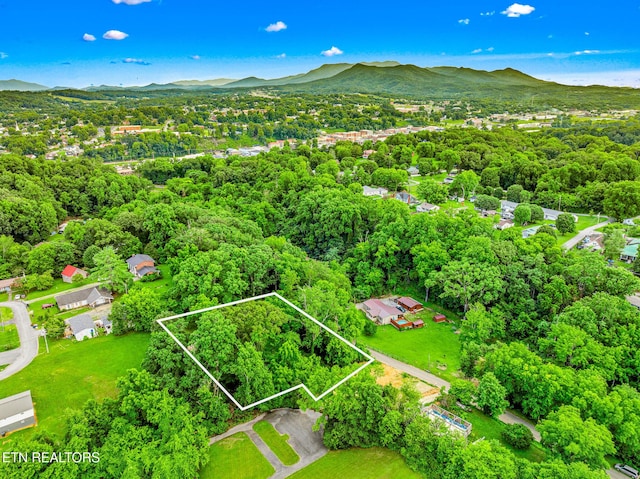 278 Harvest St, Newport, TN 37821