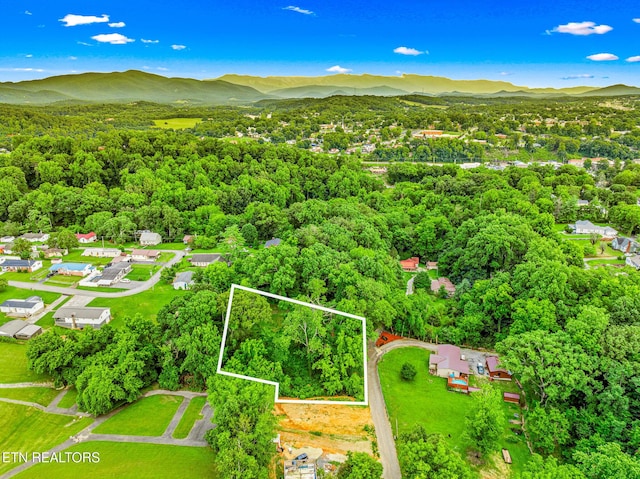 278 Harvest St, Newport, TN 37821