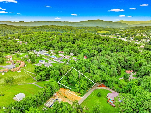 278 Harvest St, Newport, TN 37821
