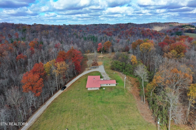 22453 Alberta St, Oneida, TN 37841 - view of subject property with a heavily wooded area