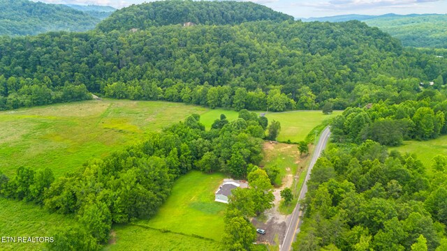3329 Stinking Creek Rd, Pioneer, TN 37847 - photo 4