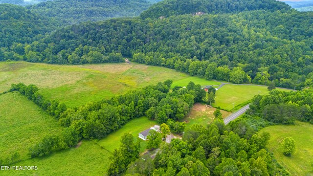 3329 Stinking Creek Rd, Pioneer, TN 37847 - photo 56