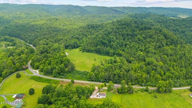 3329 Stinking Creek Rd, Pioneer, TN 37847 - photo 8
