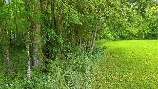 3329 Stinking Creek Rd, Pioneer, TN 37847 - photo 58