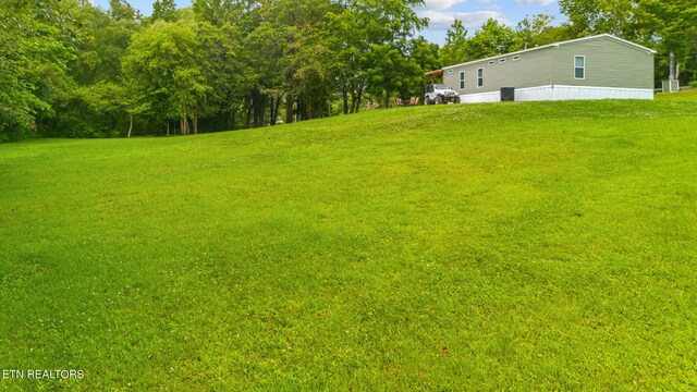 3329 Stinking Creek Rd, Pioneer, TN 37847 - photo 57