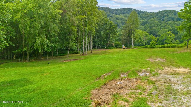 3329 Stinking Creek Rd, Pioneer, TN 37847 - photo 11