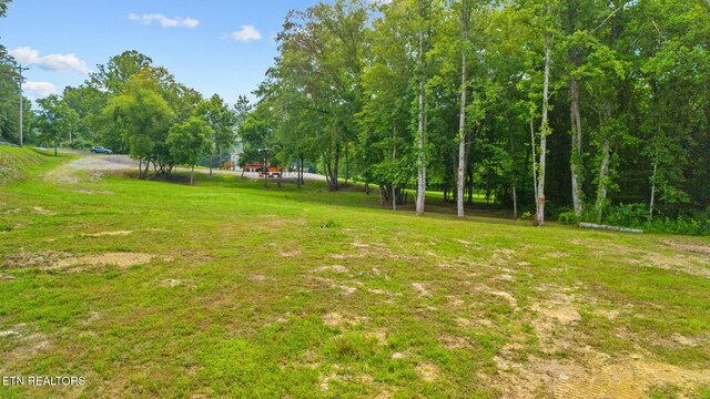3329 Stinking Creek Rd, Pioneer, TN 37847 - photo 12