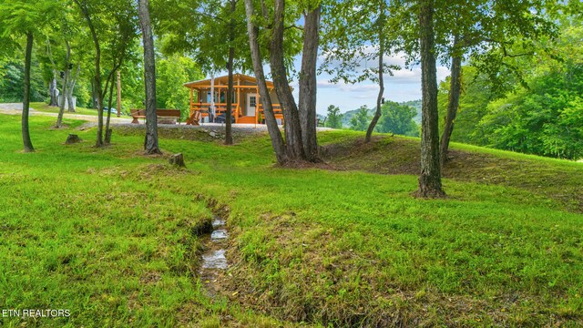 3329 Stinking Creek Rd, Pioneer, TN 37847 - photo 13