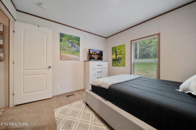 3329 Stinking Creek Rd, Pioneer, TN 37847 - photo 37