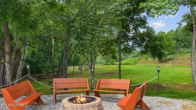 3329 Stinking Creek Rd, Pioneer, TN 37847 - photo 42