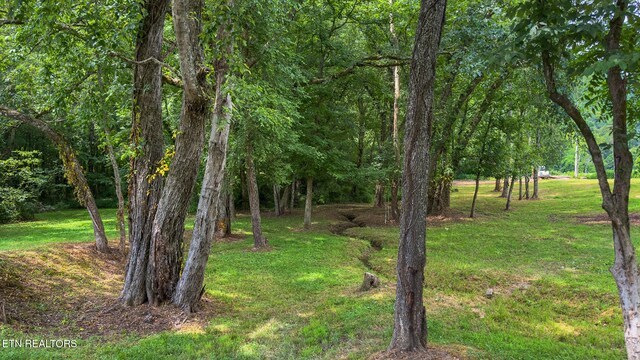 3329 Stinking Creek Rd, Pioneer, TN 37847 - photo 47
