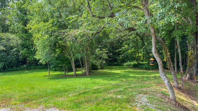 3329 Stinking Creek Rd, Pioneer, TN 37847 - photo 48