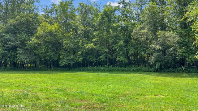 3329 Stinking Creek Rd, Pioneer, TN 37847 - photo 49
