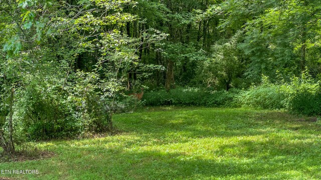 3329 Stinking Creek Rd, Pioneer, TN 37847 - photo 52