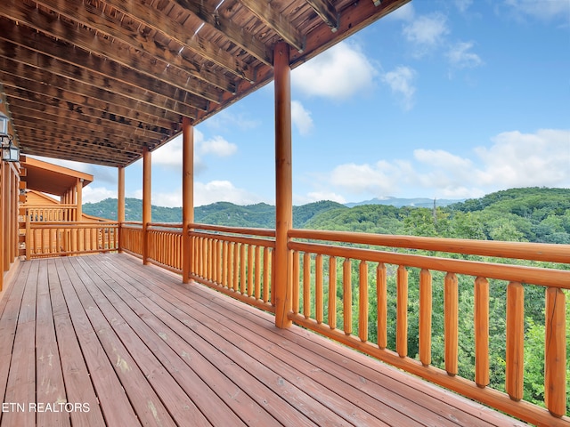 1430/1434 Eagle Cloud Way, Sevierville, TN 37876 - photo 24