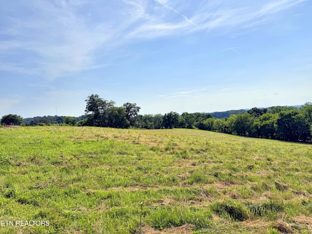 LOT4 Stone Ln, Maryville, TN 37801 - photo 3