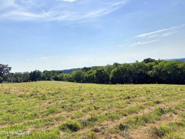 LOT4 Stone Ln, Maryville, TN 37801 - photo 4