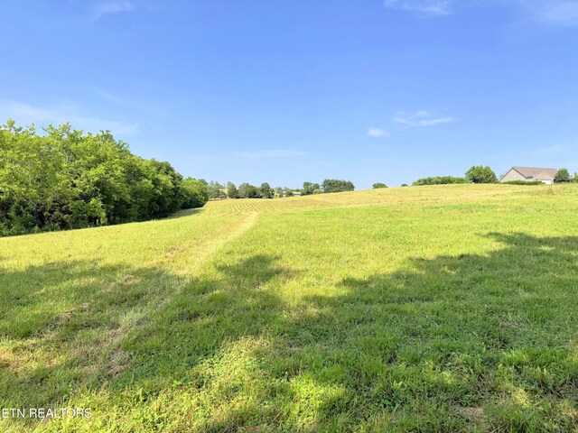 LOT4 Stone Ln, Maryville, TN 37801 - photo 7