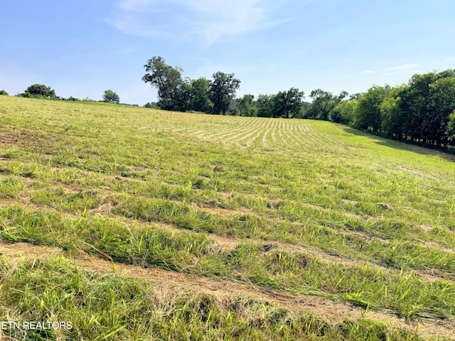 LOT4 Stone Ln, Maryville, TN 37801 - photo 8