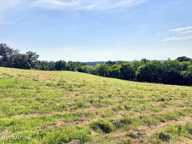 LOT4 Stone Ln, Maryville, TN 37801 - photo 9