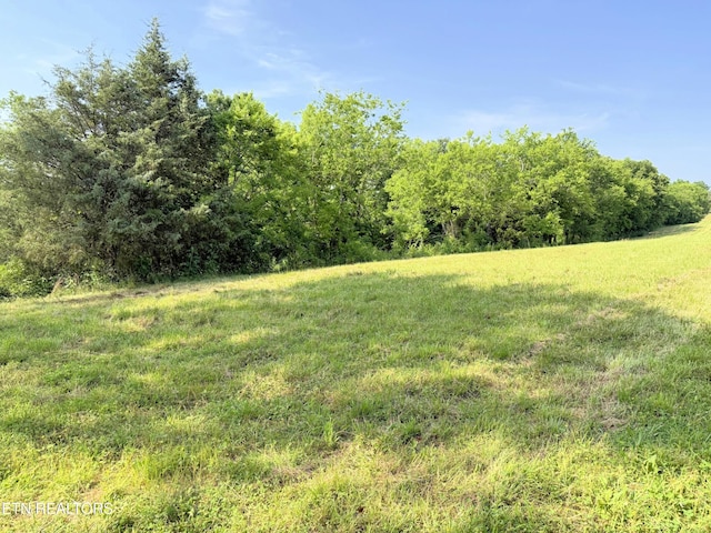 LOT4 Stone Ln, Maryville, TN 37801 - photo 10