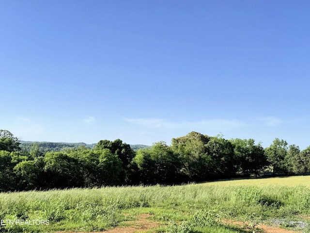 LOT4 Stone Ln, Maryville, TN 37801 - photo 11