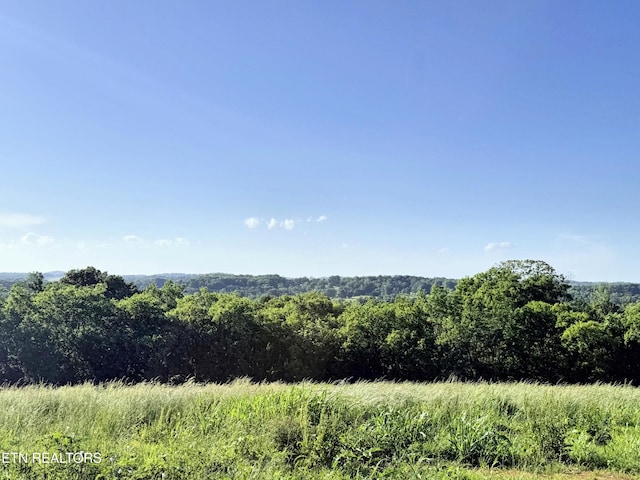 LOT4 Stone Ln, Maryville, TN 37801 - photo 12