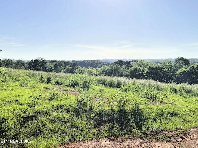 LOT4 Stone Ln, Maryville, TN 37801 - photo 13