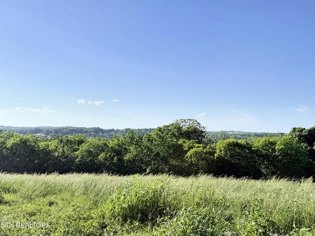 LOT4 Stone Ln, Maryville, TN 37801 - photo 1