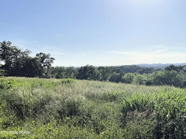 LOT4 Stone Ln, Maryville, TN 37801 - photo 15