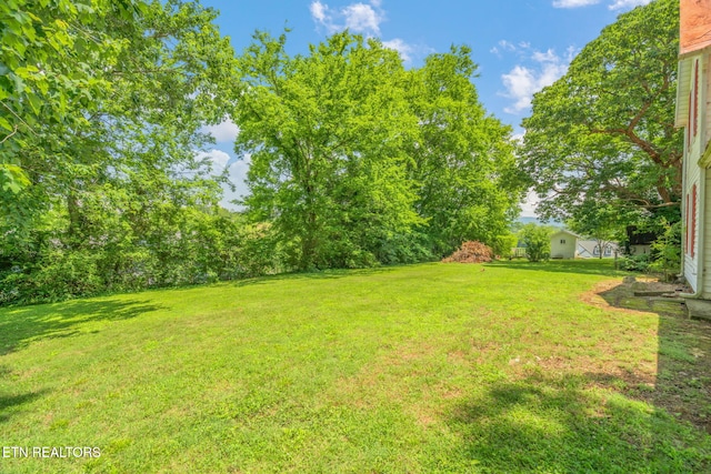 2115 Aaron Ct, Sevierville, TN 37876 - view of green lawn