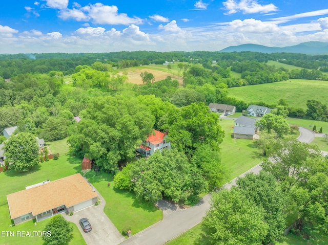 2115 Aaron Ct, Sevierville, TN 37876 - bird's eye view of a heavily wooded area