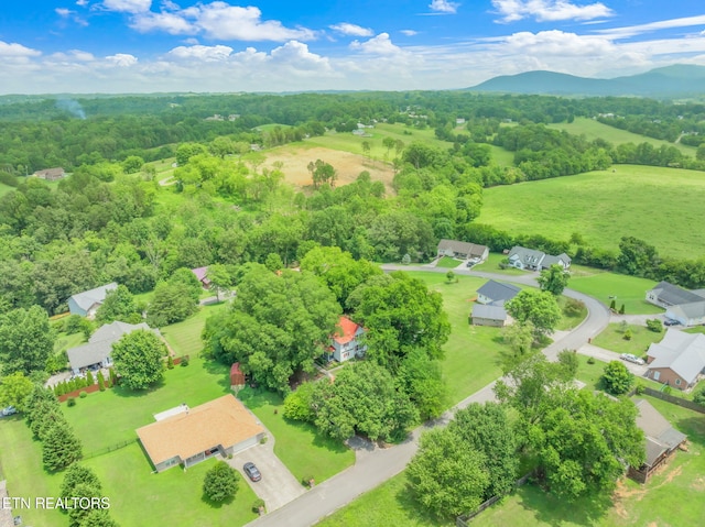 2115 Aaron Ct, Sevierville, TN 37876 - drone / aerial view