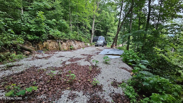 309 Marina Ln, Lafollette, TN 37766 - photo 3
