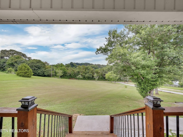 1371 Elijah Martin Rd, Whitesburg, TN 37891 - view of grassy yard