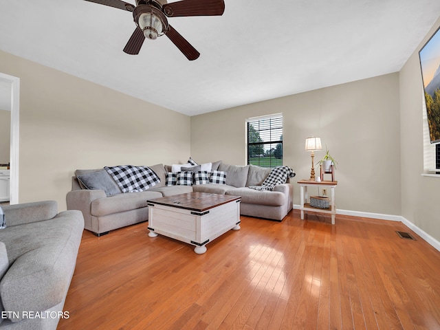 1371 Elijah Martin Rd, Whitesburg, TN 37891 - living room with light wood-style flooring and ceiling fan