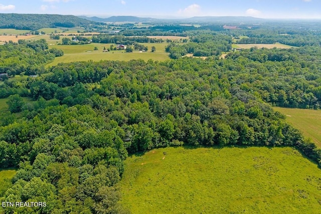 618 Cashdollar Rd, Sparta, TN 38583 - photo 12