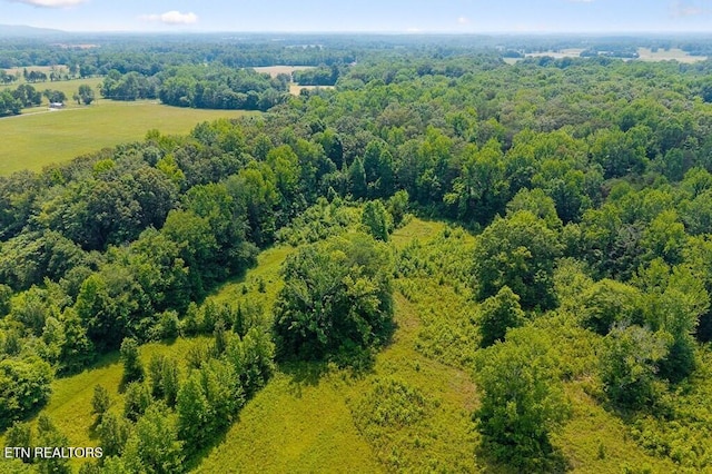 618 Cashdollar Rd, Sparta, TN 38583 - photo 15