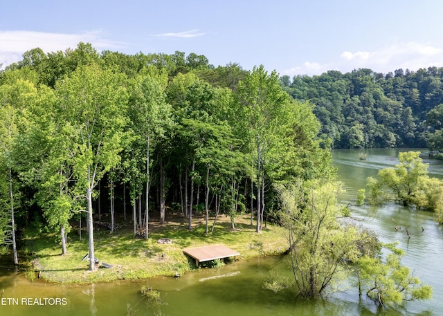 1023 Timberlake Cir, Sevierville, TN 37876 - water view featuring a forest