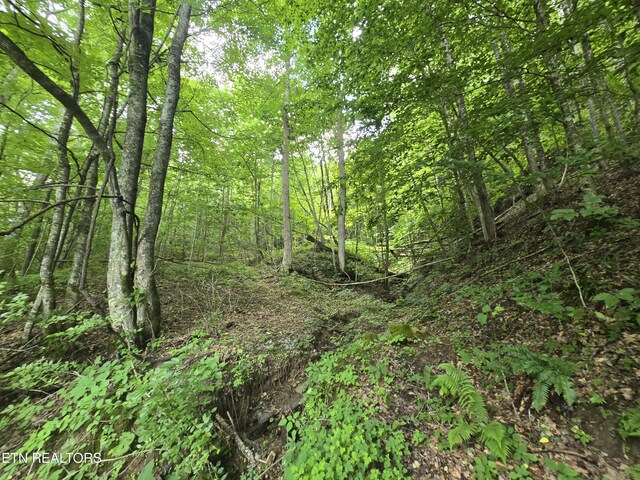 00 Left Poor Valley Rd, Pennington Gap, VA 24277