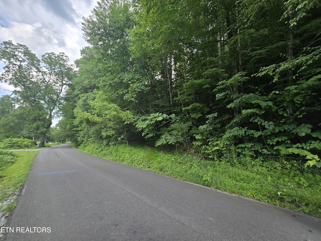 00 Left Poor Valley Rd, Pennington Gap, VA 24277