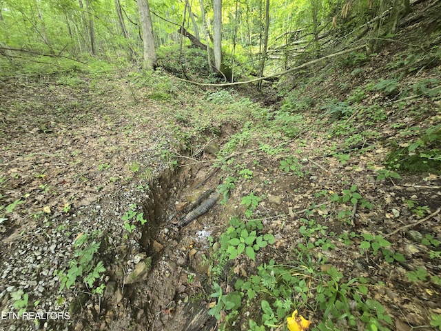 00 Left Poor Valley Rd, Pennington Gap, VA 24277