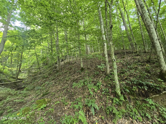00 Left Poor Valley Rd, Pennington Gap, VA 24277