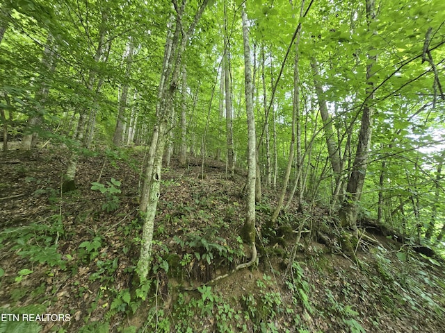 00 Left Poor Valley Rd, Pennington Gap, VA 24277