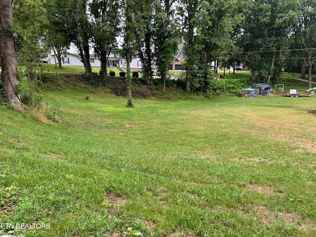 Dogwood Ln, Jacksboro, TN 37757 - photo 1