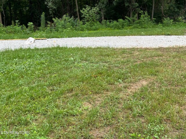 Dogwood Ln, Jacksboro, TN 37757 - photo 5