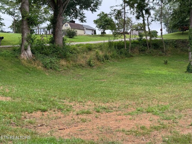 Dogwood Ln, Jacksboro, TN 37757 - photo 6